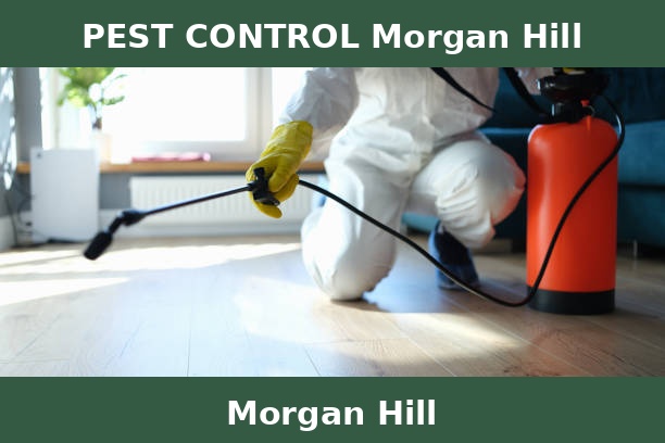 PEST CONTROL Morgan Hill